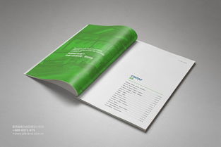 鼎盛企業集團形象畫冊及產品畫冊設計執行方案 構建統一、卓越的企業視覺形象